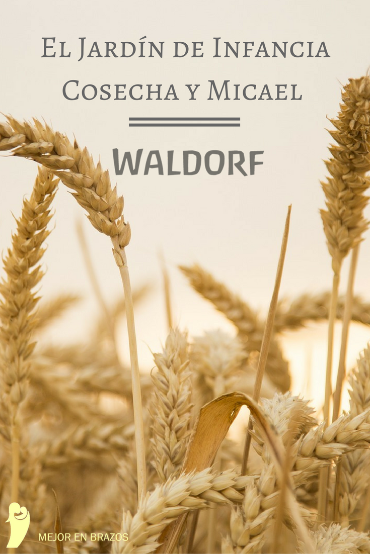 el-jardin-de-infanciacosecha-y-micael-pinterest